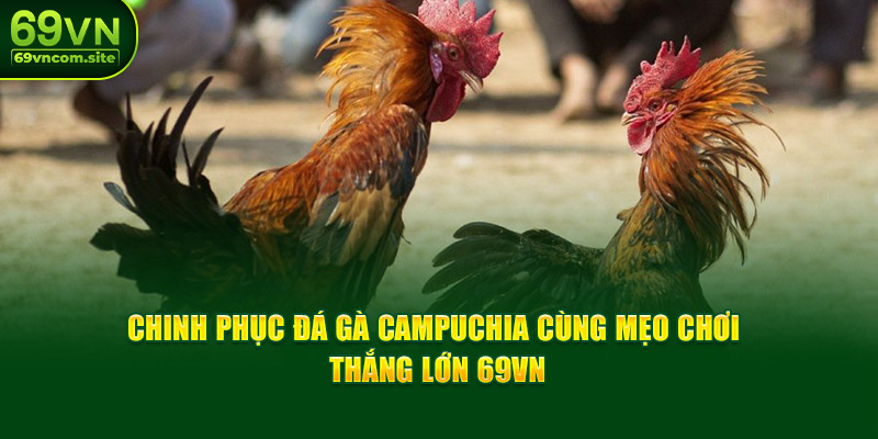 Chinh Phục Đá Gà Campuchia Cùng Mẹo Chơi Thắng Lớn 69VN