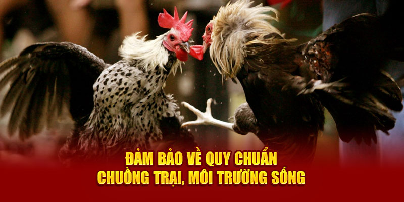 Đảm bảo về quy chuẩn chuồng trại, môi trường sống