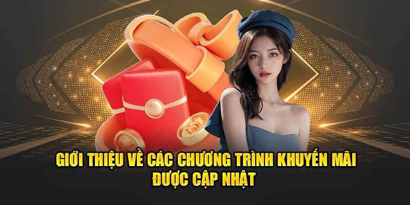 Giới thiệu về các chương trình khuyến mãi được cập nhật 